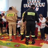 zdjęcia d s (5)