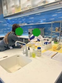 0c5b64a7-a520-4afd-aa59-6a701db2cc9e