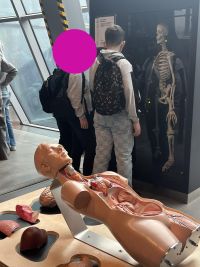 e064d29b-89fa-4fbc-9938-a6c2431cab66