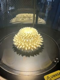 f07945ee-97ff-4281-8d6f-6e2bf8c6d1cc